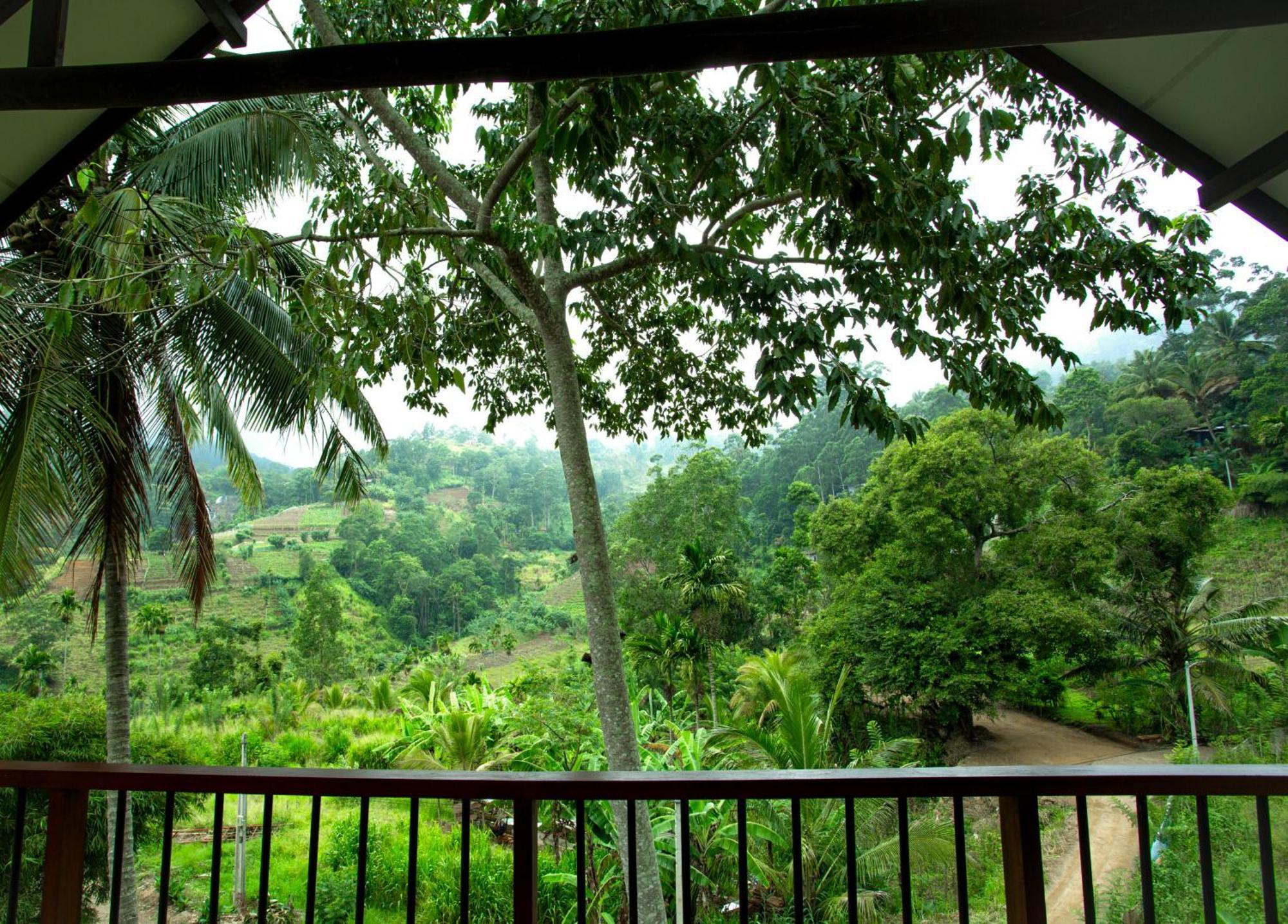 Ella Blue Heaven Bed & Breakfast Bagian luar foto